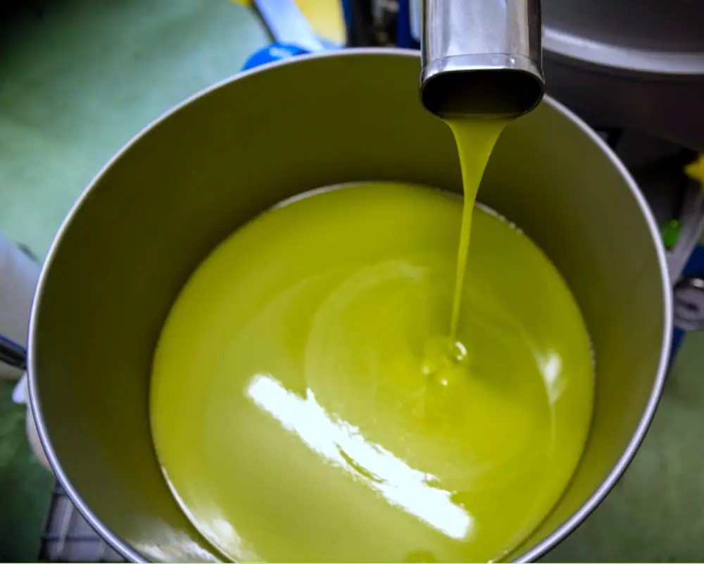 olio spremitura a freddo